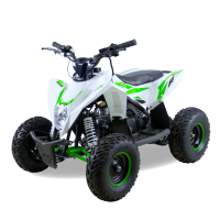 Детский электроквадроцикл Motax Gekkon 1300W Бело-зеленый