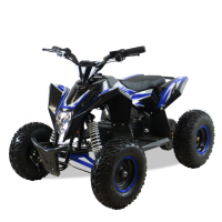 Детский электроквадроцикл Motax Gekkon 1300W Черно-синий