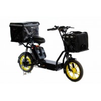 Электровелосипед E-motions' Fox Cargo (комплект с 1 АКБ)