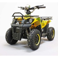 Детский электроквадроцикл GreenCamel Гоби K40