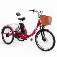 Электровелосипед GreenCamel Трайк-B Красный