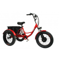Электровелосипед GreenCamel Трайк-F20 Красный