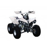 Квадроцикл Bison ATV A-55 125 cc 8"