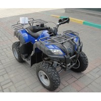 Квадроцикл Bison ATV 150 new (2018)