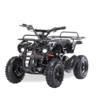 Детский электроквадроцикл Motax Mini Grizlik Х-16 800W Черный
