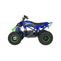 Детский электроквадроцикл Motax E-PENTORA 1500W Синий