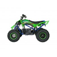 Детский электроквадроцикл Motax E-PENTORA 1500W Зеленый