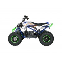 Детский электроквадроцикл Motax E-PENTORA 1500W Белый