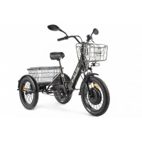Трицикл GREEN CITY e-ALFA Trike Черный