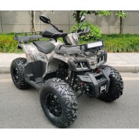 Квадроцикл Motax ATV Grizlik T 200 Коричневый