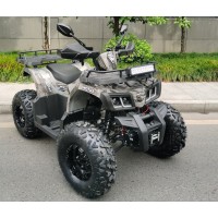 Квадроцикл Motax ATV Grizlik T 200 LUX Коричневый